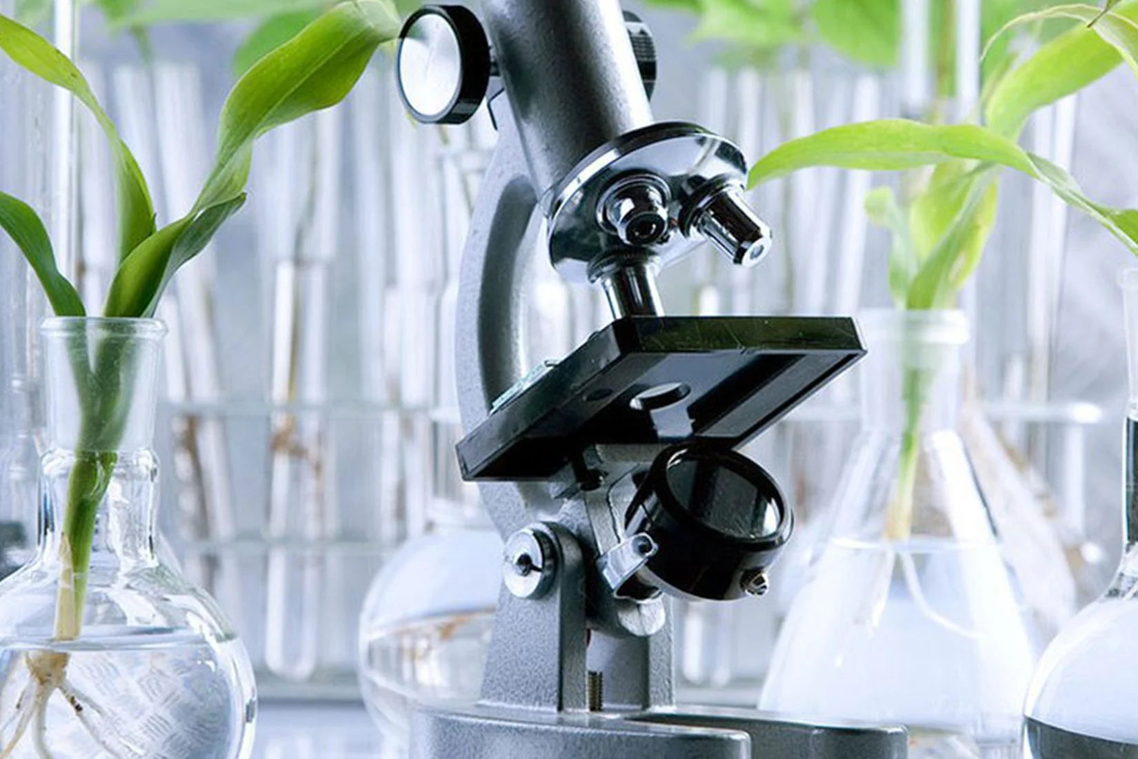 Greenwashing – Shocking Truths About Your Cosmetic Products