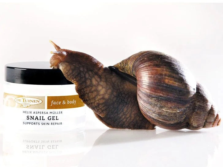 Is Snail Slime in Skincare Worth the Hype?